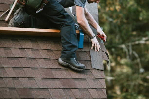 Roof Gutter Cleaning in Clayton, MO